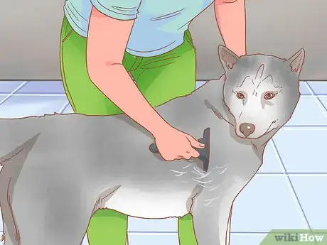 Image titled Keep Your Pets Happy Step 13