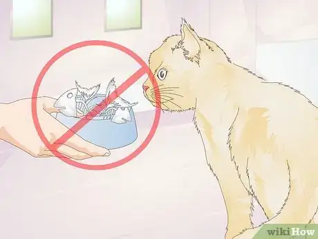 Image titled Prevent Feline Dental Disease Step 9