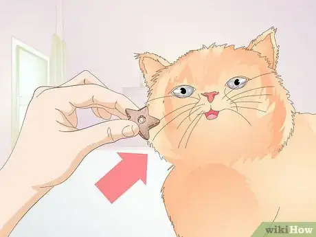 Image titled Stop a Cat from Licking Stuffed Animals and Blankets Step 1