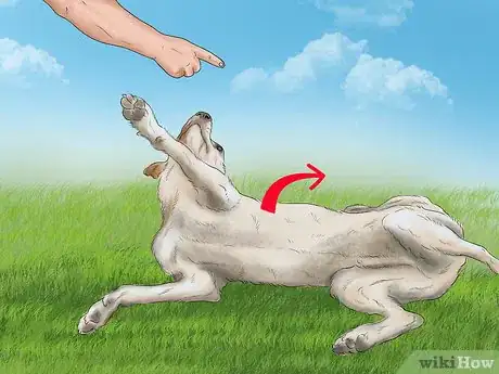 Image titled Avoid Confusing a Dog During Training Step 9