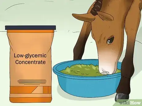 Image titled Prevent OCD in Horses Step 3