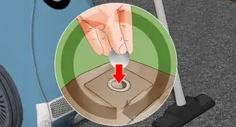 Control Fleas by Using Peppermint