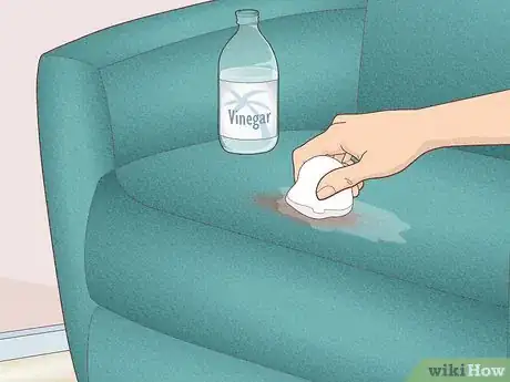 Image titled Spot Clean Suede Step 1