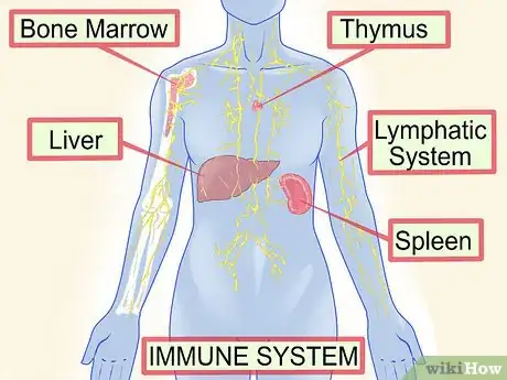 Image titled Boost Your Immunity to the Common Cold Step 1
