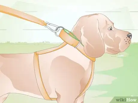 Image titled Choose the Right Harness for Your Dog Step 4