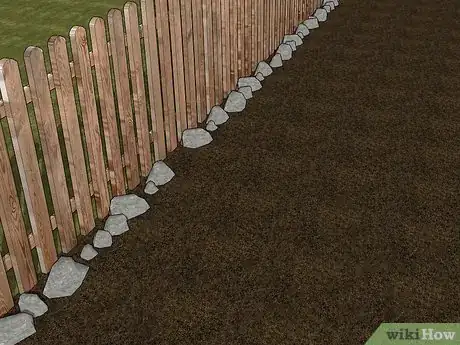 Image titled Grow African Daisy (Arctotis) Step 3