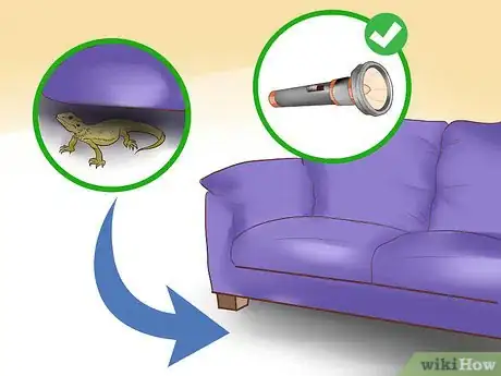 Image titled Catch a Lizard in the House Step 2