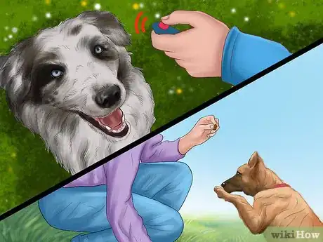Image titled Avoid Confusing a Dog During Training Step 8