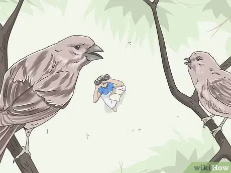 Image titled Identify Bird Calls Step 11