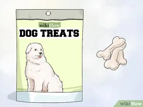 Image titled Give Dogs What They Need Step 9