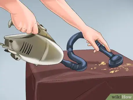 Image titled Avoid Getting Bitten by a Black Widow Step 6
