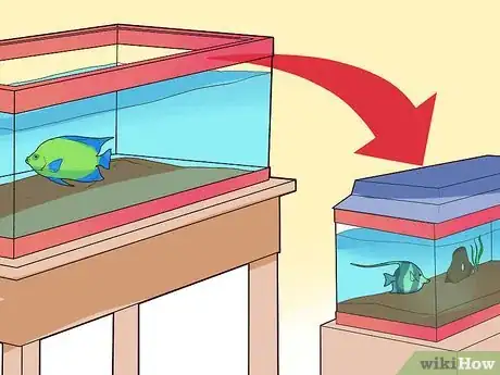 Image titled Make Your Fish Live Longer Step 19
