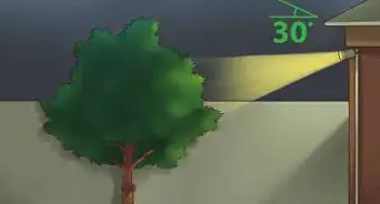 Accent Trees With Outdoor Lighting