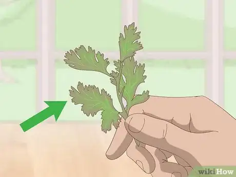 Image titled Make Embedded Soap Step 1