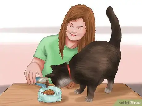 Image titled Care for Your Cat Step 11