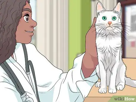 Image titled Raise Angora Cats Step 11