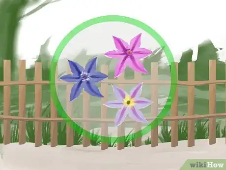 Image titled Train Clematis Step 3