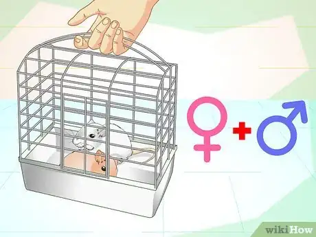 Image titled Tame Your Gerbils Step 3