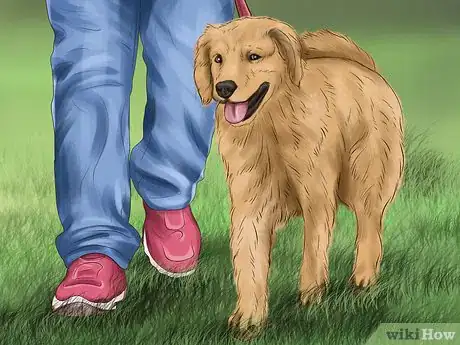 Image titled Determine Where to Get Your Dog Step 14