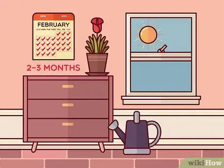 Image titled Get Calla Lilies to Flower Step 10