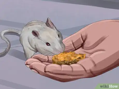 Image titled Catch a Gerbil on the Loose Step 10