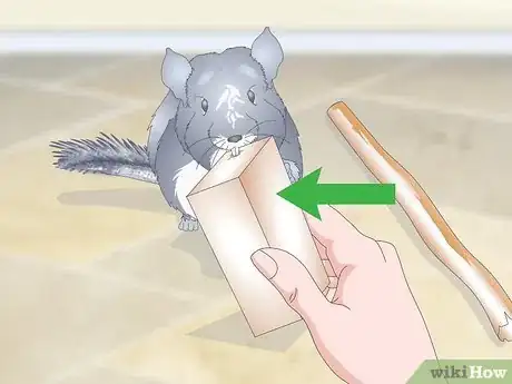 Image titled Care for Chinchillas Step 17