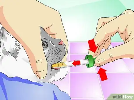 Image titled Give Cats Liquid Medicine Step 9