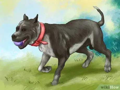 Image titled Keep a Pitbull Step 3