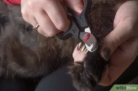 Image titled Care for Hardwood Floors Step 12