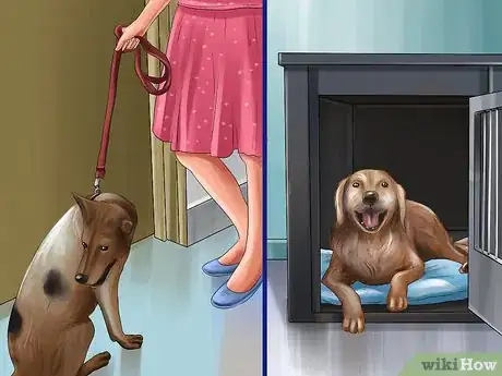 Image titled Adopt a Sporting Dog Step 11