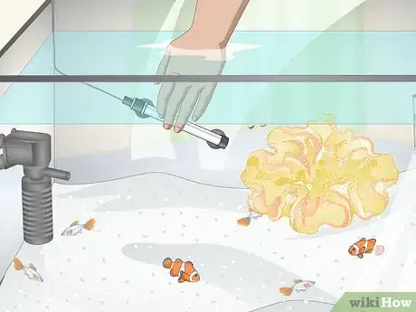 Image titled Reduce Saltwater Reef Aquarium Maintenance Step 9