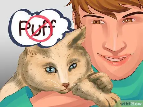 Image titled Choose a Kitten Name Step 8