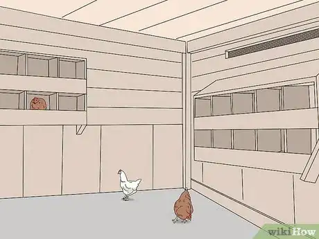 Image titled Promote Egg Laying in Hens Step 11