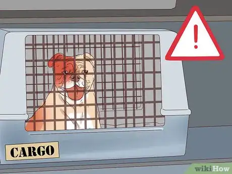 Image titled Travel with Dogs Step 15