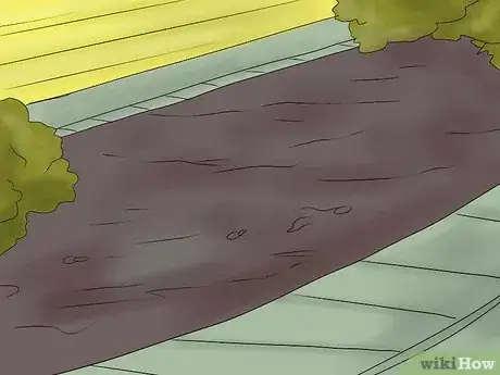 Image titled Keep Narcissus Bulbs After Flowering Step 10