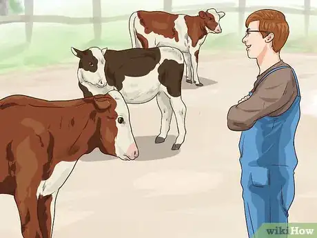 Image titled Raise Calves Step 19