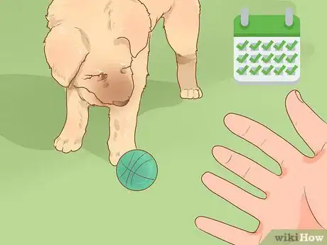 Image titled Train a Rescue Dog Step 4