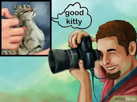 Image titled Photograph Your Cat's Symptoms for the Vet Step 1