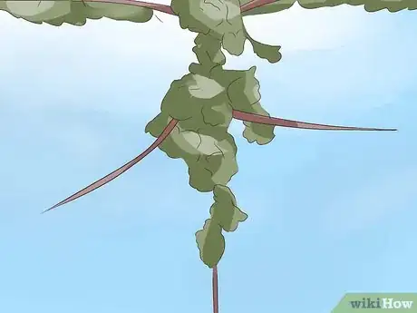 Image titled Prune Grape Vines Step 9