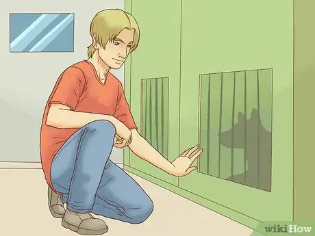 Image titled Adopt a Senior Dog Step 7