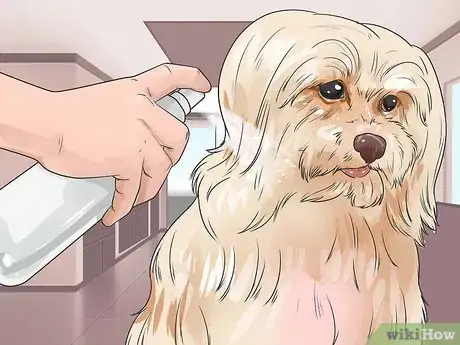 Image titled Brush a Long Haired Dog Step 14