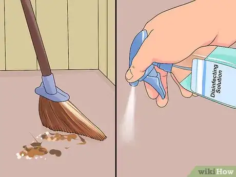 Image titled Deliver a Foal Step 2