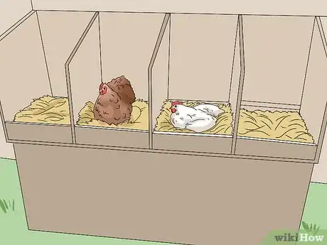Image titled Promote Egg Laying in Hens Step 10
