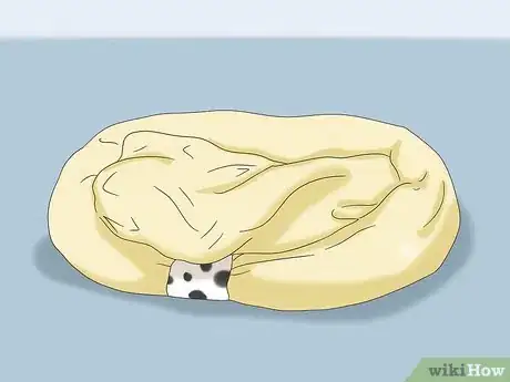 Image titled Make a Puppy Playroom Step 9