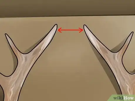 Image titled Score Mule Deer Antlers Step 12