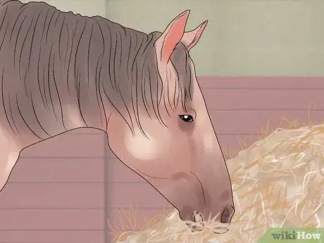 Image titled Find and Train a Barrel Horse Step 12