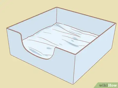 Image titled Deal with a Dog Pregnancy Step 8