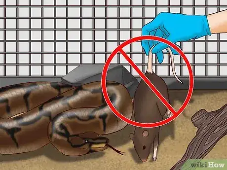 Image titled Choose Safe Pet Food Step 10