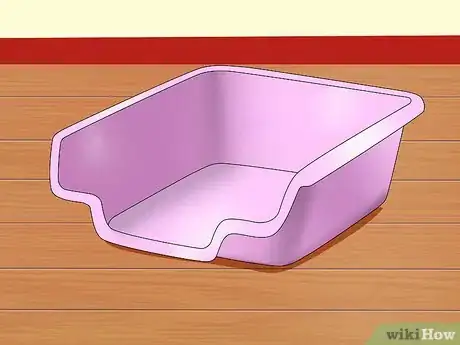 Image titled Toilet Train a Hamster Step 1