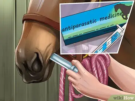 Image titled Get Rid of Strongyle Infestations in Horses Step 4